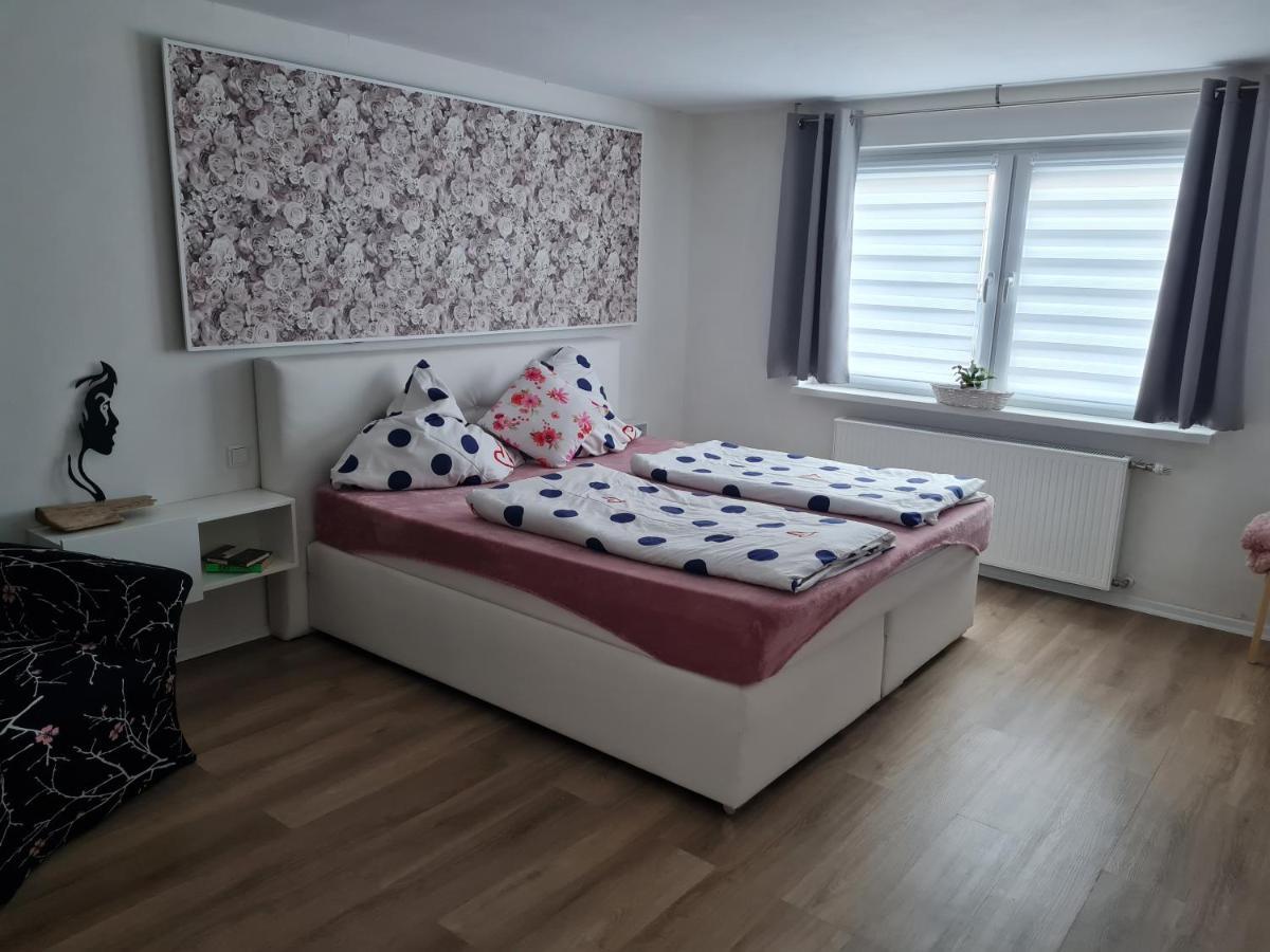 슈말렌부르크 Haus Sauerlandliebe 빌라 외부 사진